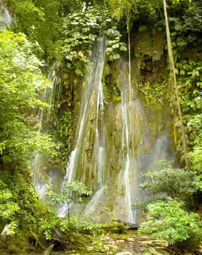 nuestra amazonia